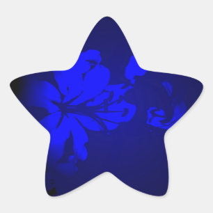 Irish Design - The Blume Collection Stern-Aufkleber