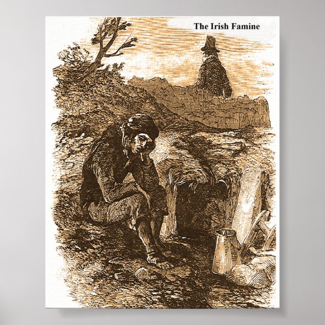 Irish Famine Picture Collection Poster (Vorne)