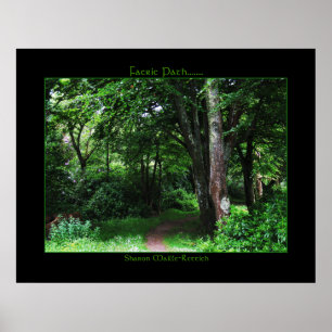 Irish Fee Path Poster Print