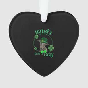 Irish For A Day Whippet Lucky Dog In Patrick Day