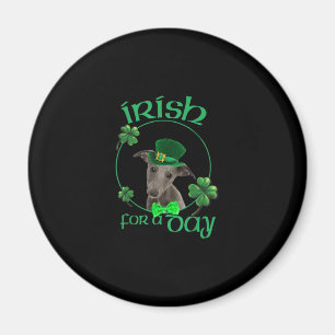 Irish For a day Whippet Lucky Hund in Patrick Day Magnet