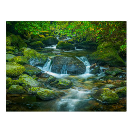 Irish Forest Stream – Emerald Woodland Photo Print Poster