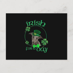 Irish für einen Tag hippet Lucky Hund in Patrick D Postkarte