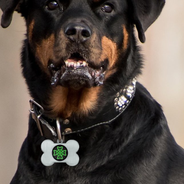 Irish Green Celtic Knot Tiermarke (Vibrant green Irish Celtic knot design on black on bone shaped pet tag.)