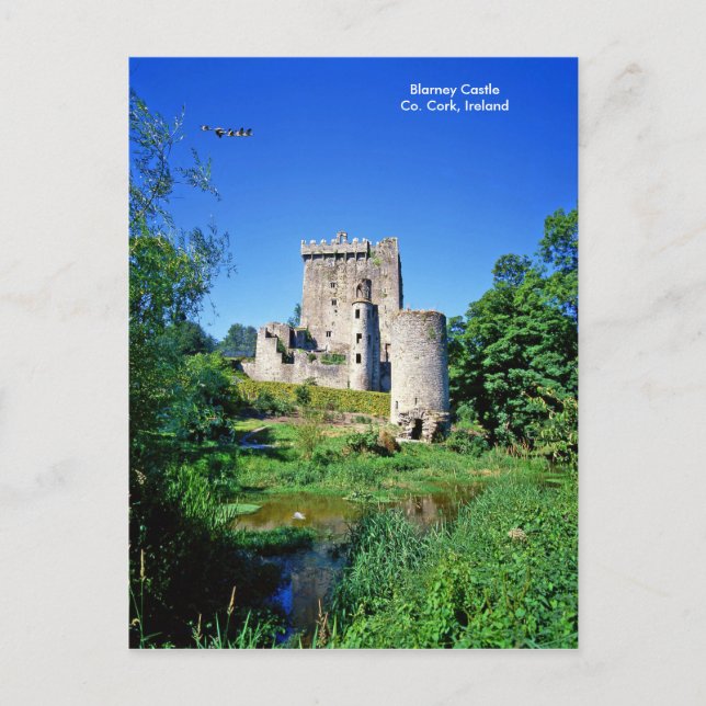 Irish image for postcard postkarte (Vorderseite)