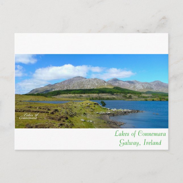 Irish Images Postcard Postkarte (Vorderseite)