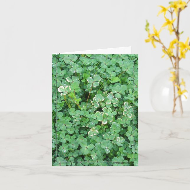 Irish Kleeblatts Nature Foto Blank Note Card Karte (Gelbe Blume)