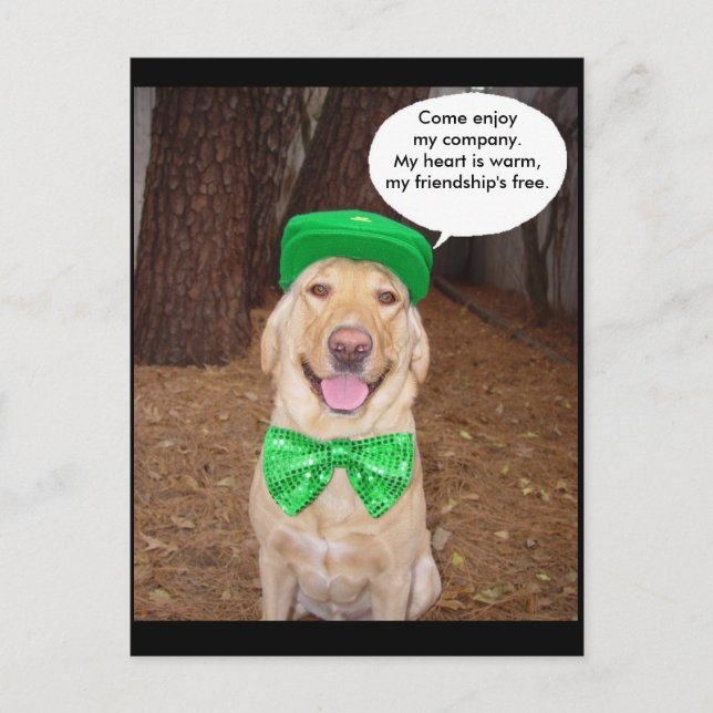Irish Labrador Sprichwort Postkarte (Vorderseite)