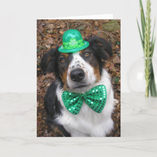"Irish Laddie"-Karte Karte