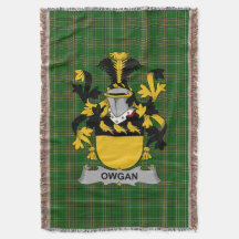 Irish Owgan Coat of Arms Familienwappen Irland