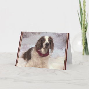 Irish Red and White Setter im Schnee mit Schal. Karte
