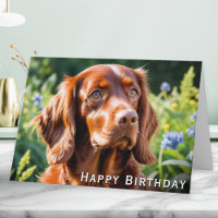 Irish Red Setter Dog Lover Birthday