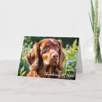 Irish Red Setter Dog Lover Denken Sie an Sie