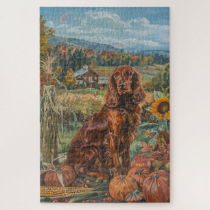 Irish Red Setter Hund Herbsternte Erntedankfest