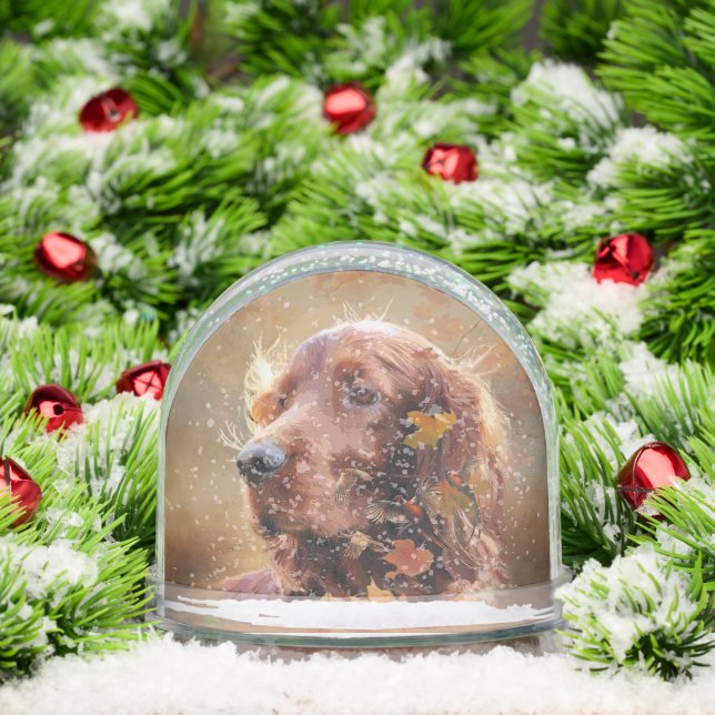 Irish Red Setter, Irish Setter Schneekugeln (Weihnachten)
