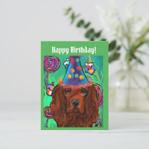 Irish Red Setter Postkarte