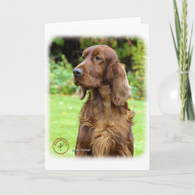 Irish Setter 9T004D-286 Karte (Vorderseite)