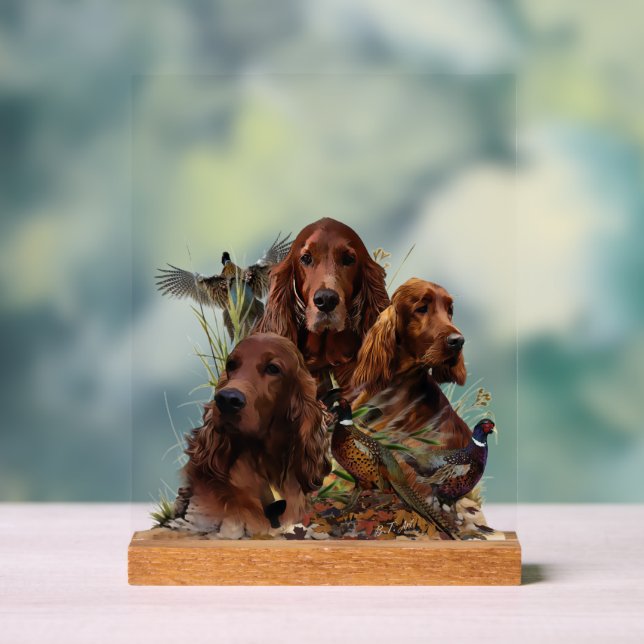  Irish  Setter Acrylschild (Neutral)