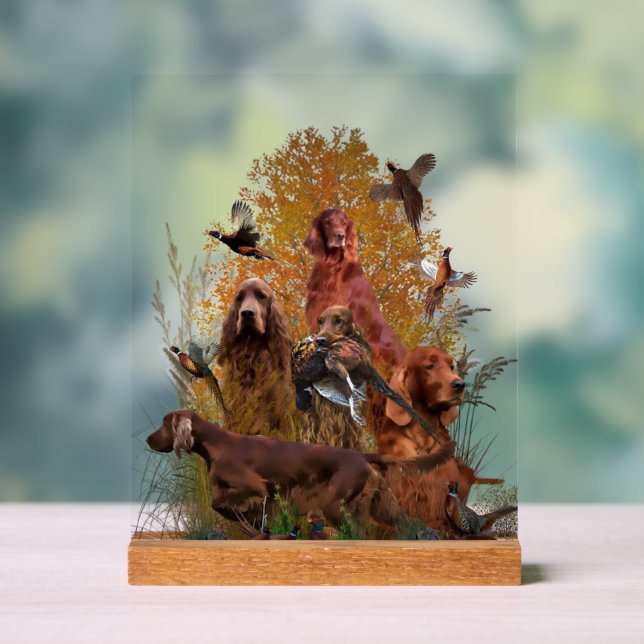  Irish  Setter Acrylschild (Neutral)