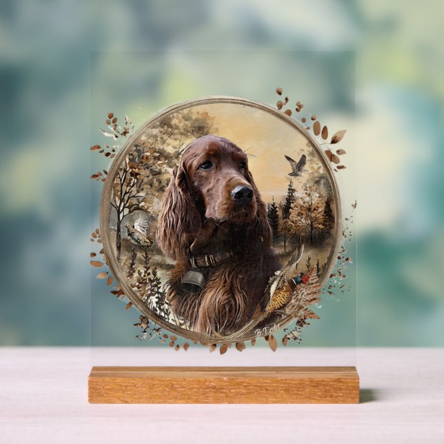  Irish  Setter Acrylschild (Neutral)