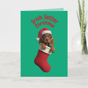 Irish Setter Christmas Strumpf Karte