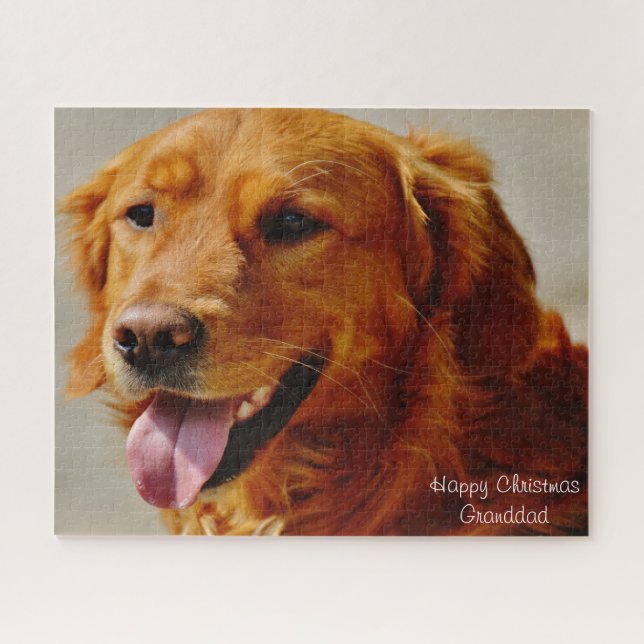 Irish Setter Dog. (Horizontal)