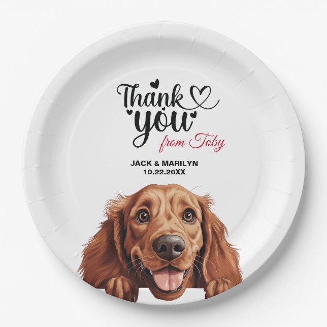 Irish Setter Dog Pappteller (Vorderseite)