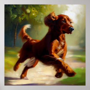 Irish Setter Dog Poster