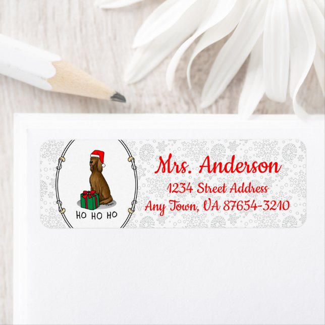 Irish Setter Dog (rot 1) Niedlich (Insitu)