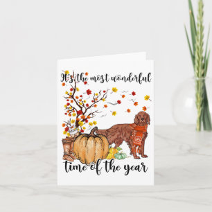 Irish Setter Fall Pumpkins Autumn Leaf Tree Karte