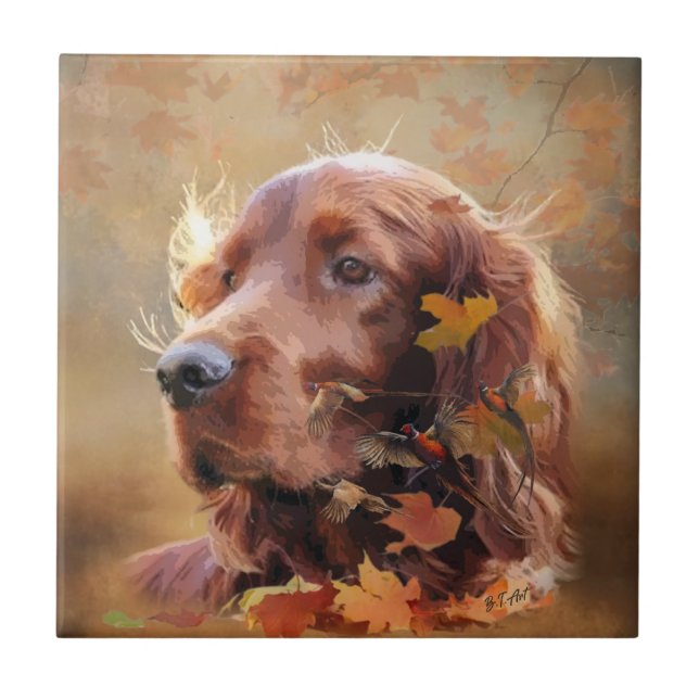Irish Setter Fliese (Vorderseite)