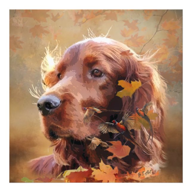 Irish Setter Fotodruck (Vorne)