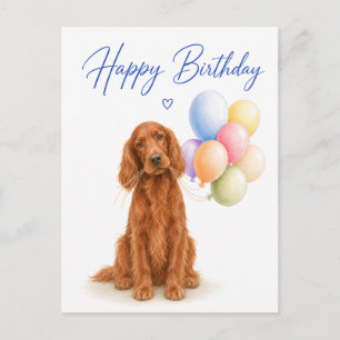 Irish Setter Geburtstag Postkarte