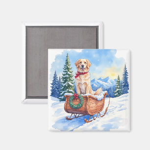 Irish Setter genießt Weihnachts-Schlittenfahrt im  Magnet