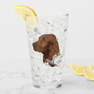 Irish Setter Glas