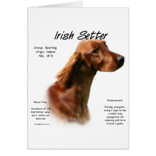 Irish Setter History Design