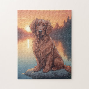 Irish Setter Hund