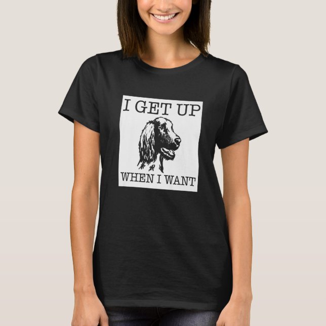 Irish Setter Hund 1 T-Shirt (Vorderseite)