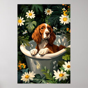 Irish Setter im Badewannenposter, Lustiges Hundepo Poster