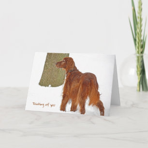 Irish Setter im Schnee denken Sie an Sie Karte