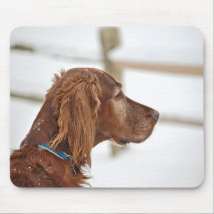 Irish Setter im Schnee Mousepad
