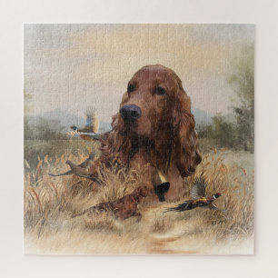 Irish Setter Jagd Fasant, Art