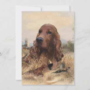 Irish Setter Jagd Fasant, Art Einladung