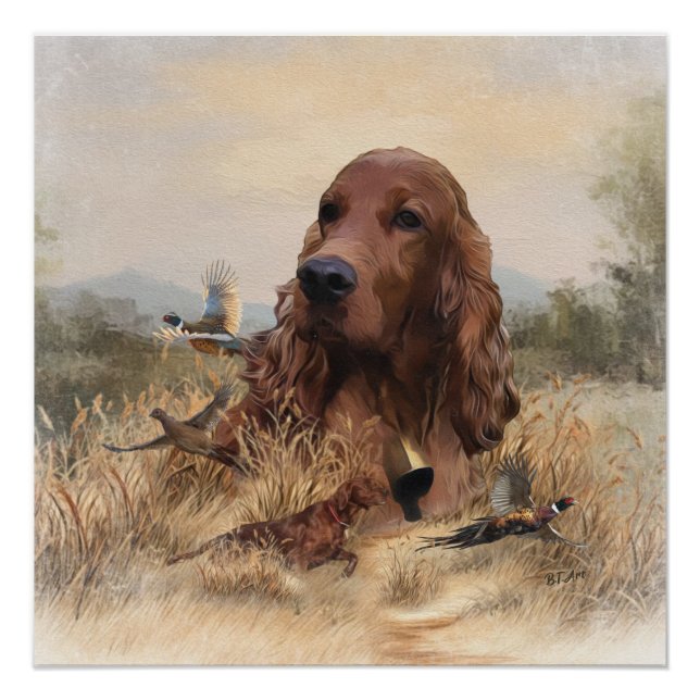 Irish Setter Jagd Fasant, Art Poster (Vorderseite)