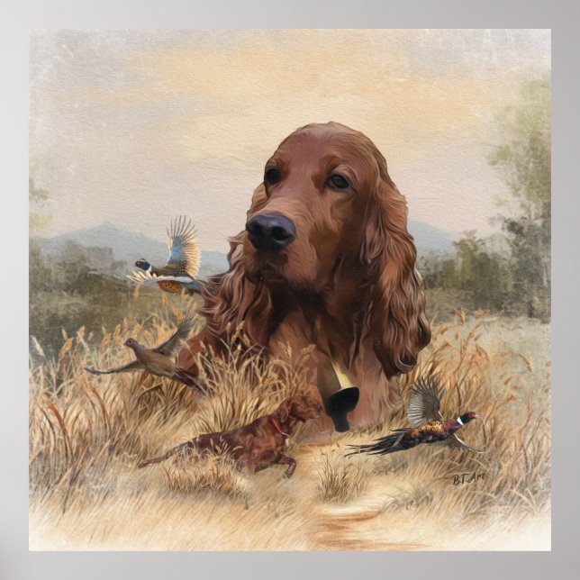 Irish Setter Jagd Fasant, Art Poster (Vorne)