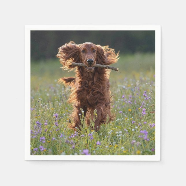 Irish Setter läuft mit einem Stock Serviette (Vorderseite)