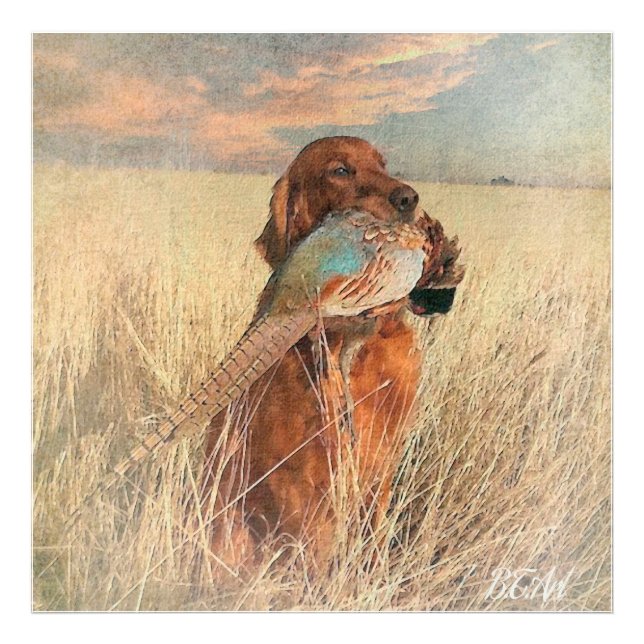 Irish Setter mit Fasan Fotodruck (Vorne)