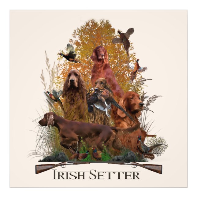 Irish Setter mit Fasan Fotodruck (Vorne)