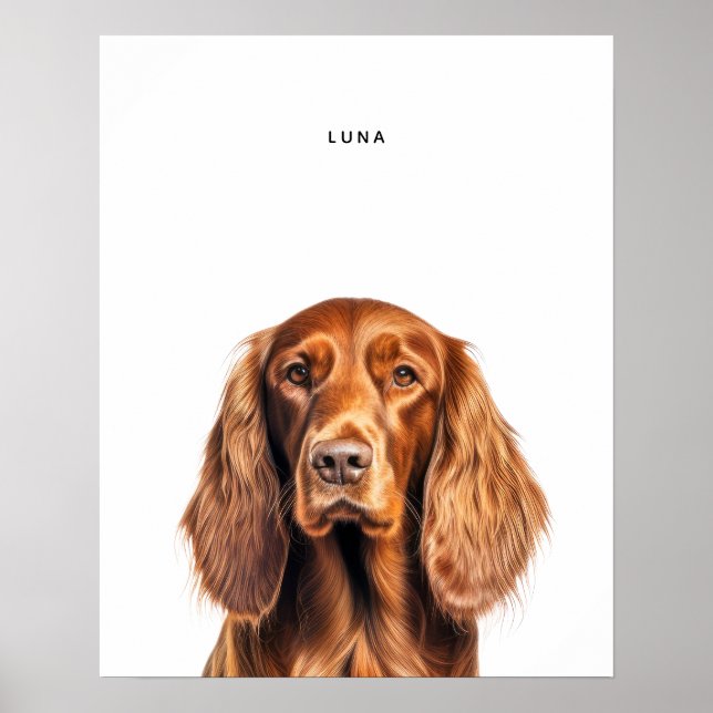 Irish Setter Personalisiert Print Poster (Vorne)