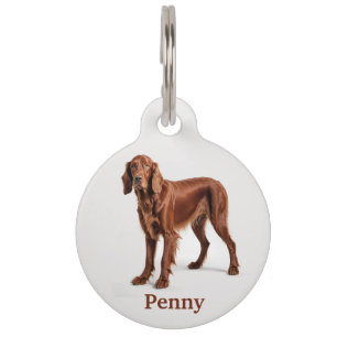 Irish Setter Personalize Haustiermarke